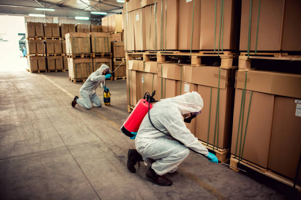 Trusted West Hazleton, PA Pest Control Experts