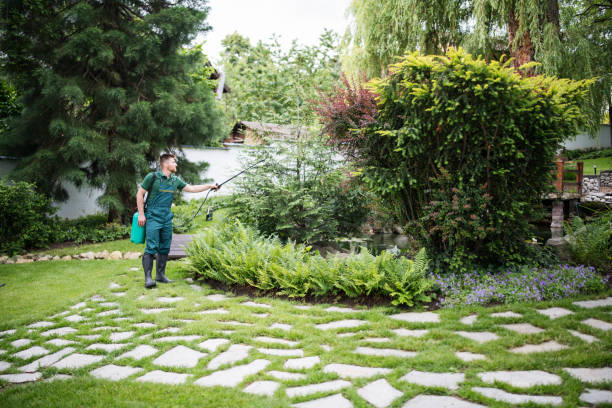 Best Pest Control for Businesses  in West Hazleton, PA