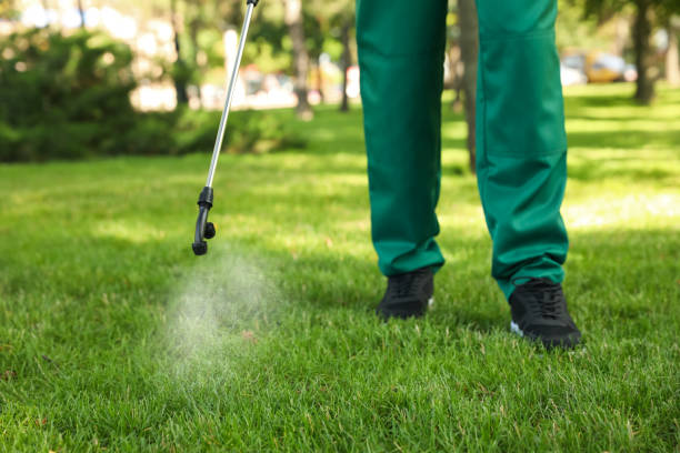 Best Flea Control Services  in West Hazleton, PA