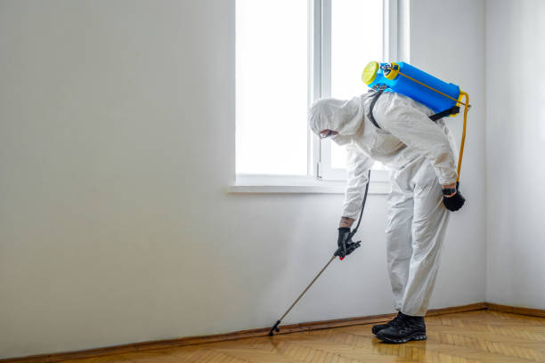 Professional Pest Control in West Hazleton, PA