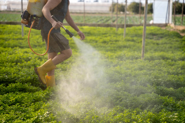 Best Affordable Pest Control Services  in West Hazleton, PA