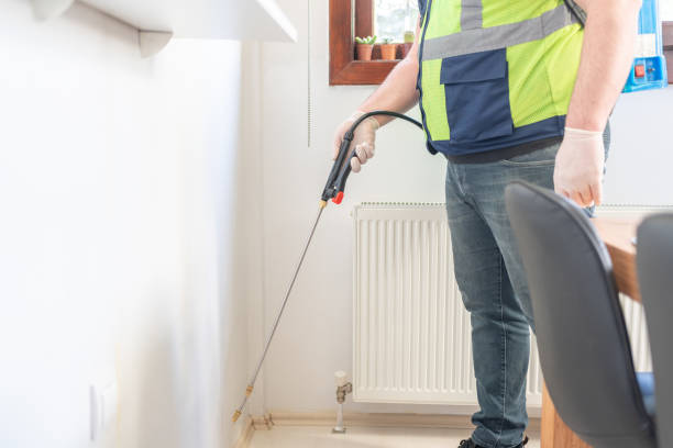 Best Affordable Pest Control Services  in West Hazleton, PA