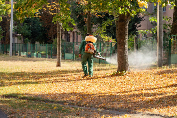 Best Insect Control  in West Hazleton, PA