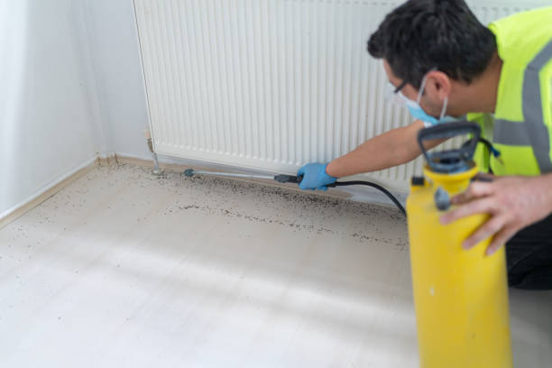 Best Wasp Removal Services  in West Hazleton, PA